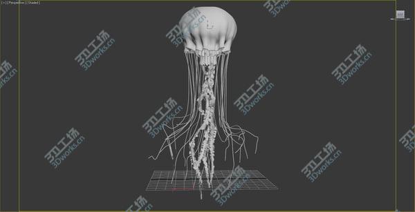images/goods_img/20210312/jellyfish ANIMATED/4.jpg